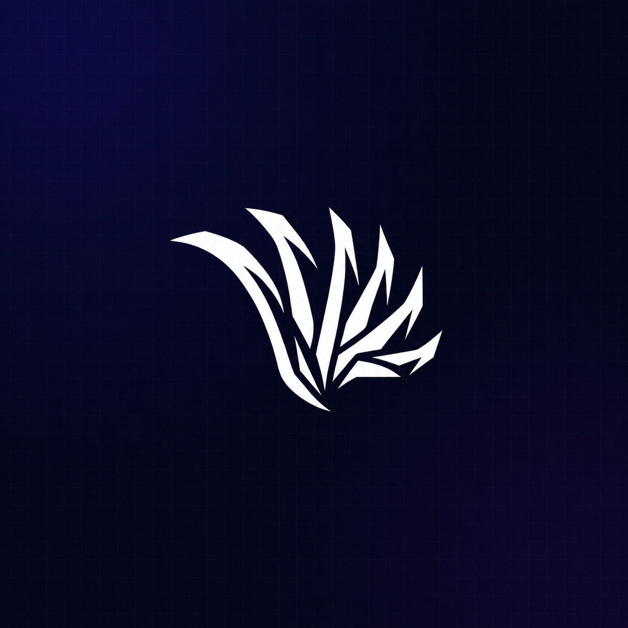Blayer - API Code Generator